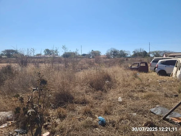 Stands & Residential Land